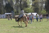 Enlarge photo 61