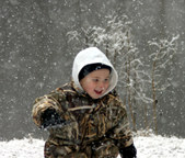 Enlarge photo 44