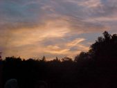 Enlarge photo 58