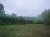 Enlarge photo 33