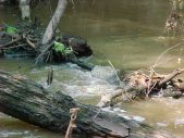 Enlarge photo 23