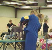 Enlarge photo 49