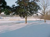 Enlarge photo 56