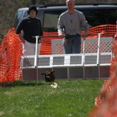 Enlarge photo 13