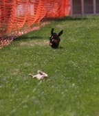 Enlarge photo 16