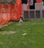 Enlarge photo 30