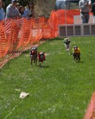 Enlarge photo 44
