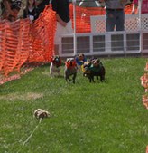 Enlarge photo 49