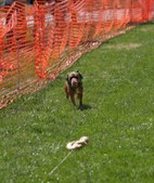 Enlarge photo 53