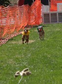 Enlarge photo 55