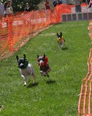 Enlarge photo 58