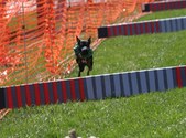 Enlarge photo 69