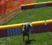 Enlarge photo 86