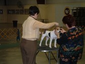 Enlarge photo 14