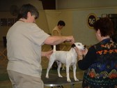 Enlarge photo 15