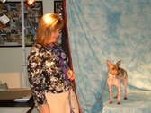 Enlarge photo 42