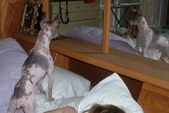 Enlarge photo 24