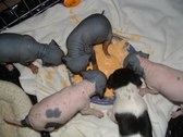 Enlarge photo 27