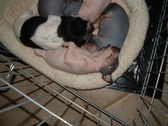 Enlarge photo 28