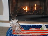 Enlarge photo 18