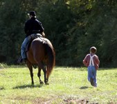 Enlarge photo 34