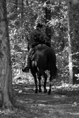 Enlarge photo 44