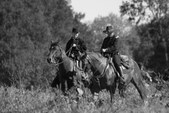 Enlarge photo 50