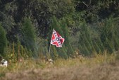 Enlarge photo 54