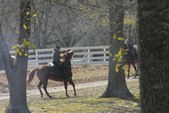 Enlarge photo 32
