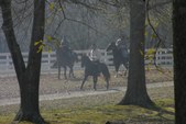 Enlarge photo 33