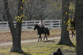 Enlarge photo 37