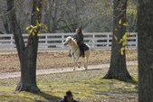 Enlarge photo 38