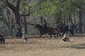 Enlarge photo 39