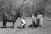 Gainesville - 2008