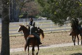 Enlarge photo 56