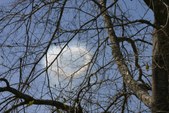 Enlarge photo 63