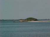 Enlarge photo 62