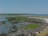Enlarge photo 77