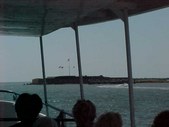 Enlarge photo 63