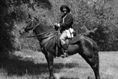Enlarge photo 58