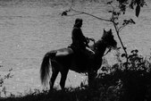 Enlarge photo 31