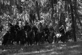 Enlarge photo 40