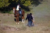 Enlarge photo 31