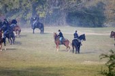 Enlarge photo 46