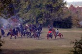 Enlarge photo 47