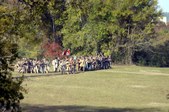 Enlarge photo 49