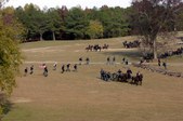 Enlarge photo 51