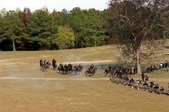 Enlarge photo 53