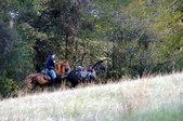 Enlarge photo 58