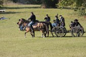 Enlarge photo 46